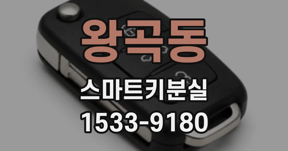 왕곡동 스마트키분실