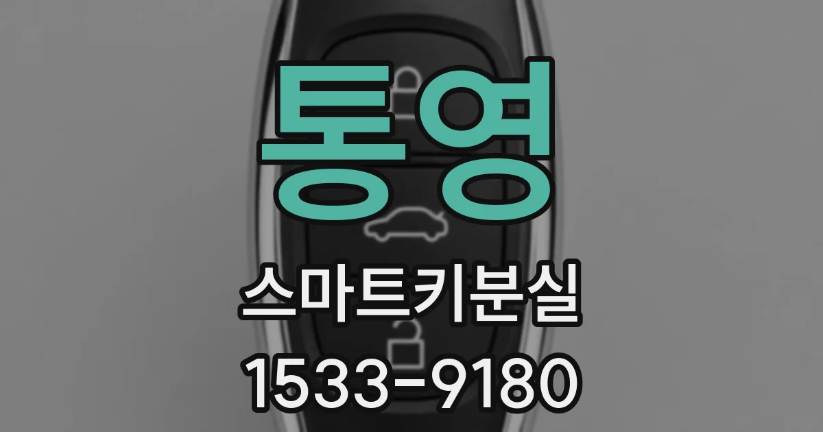 통영 스마트키분실