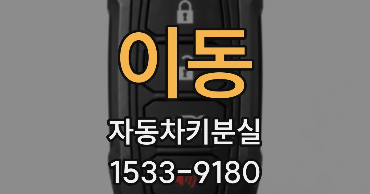 이동 자동차키분실