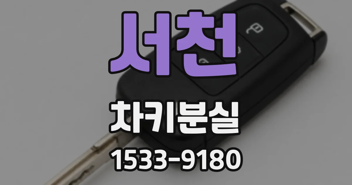 서천 차키분실