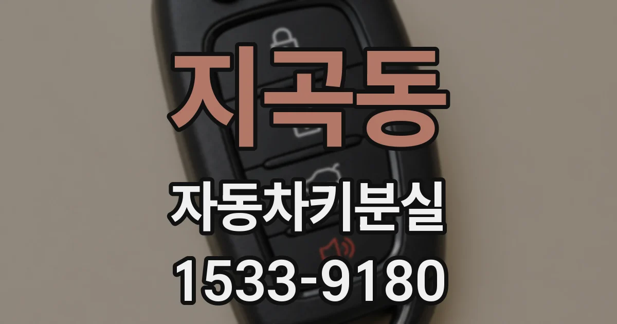 지곡동 자동차키분실