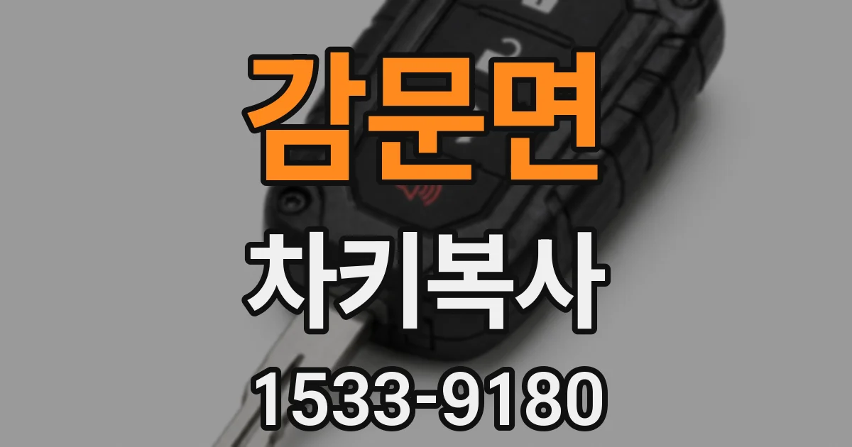 감문면 차키복사