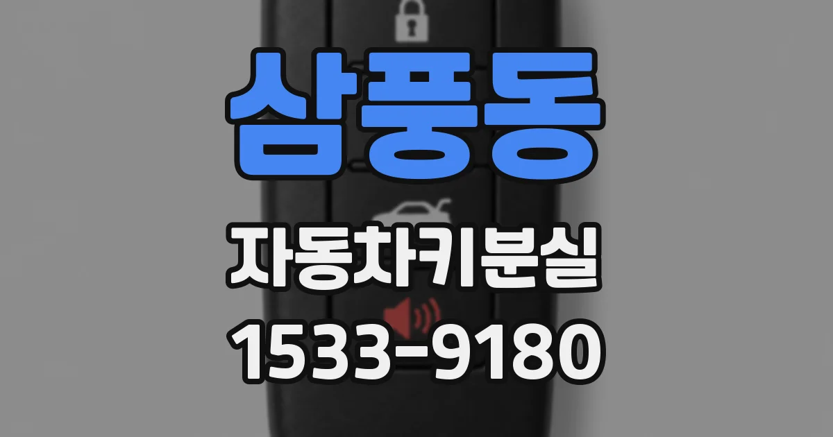 삼풍동 자동차키분실