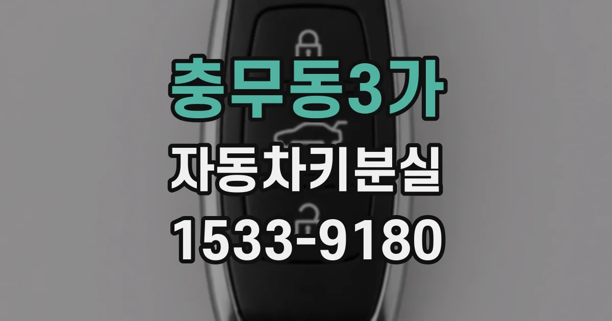 충무동3가 자동차키분실