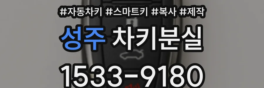 성주 차키분실