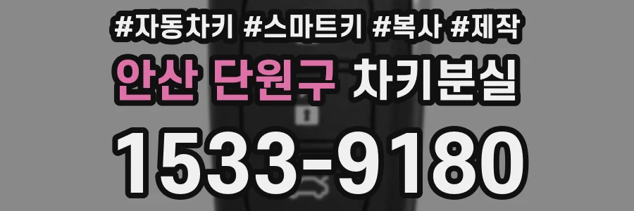 안산 단원구 차키분실