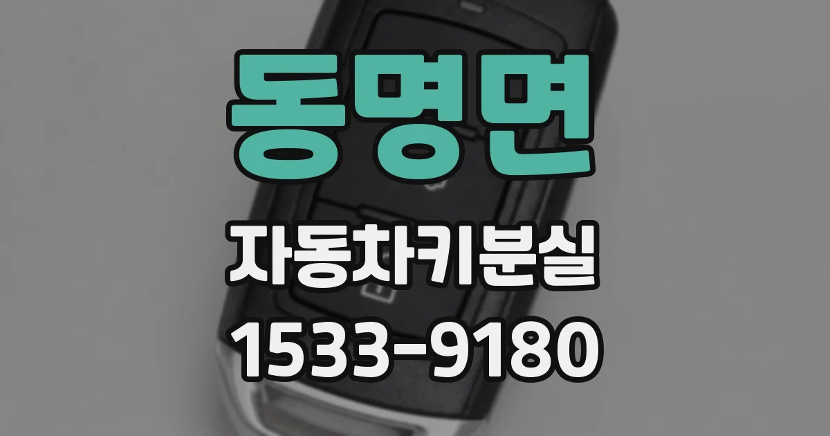 동명면 자동차키분실
