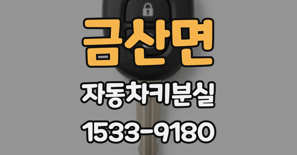금산면 자동차키분실