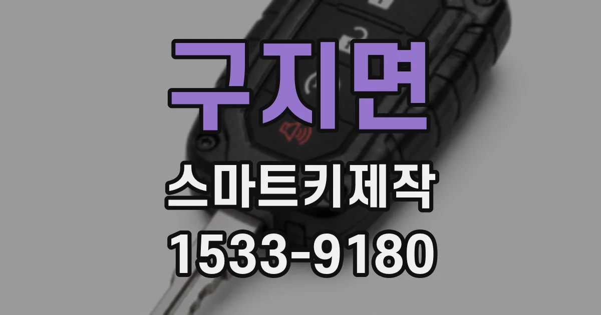 구지면 스마트키제작