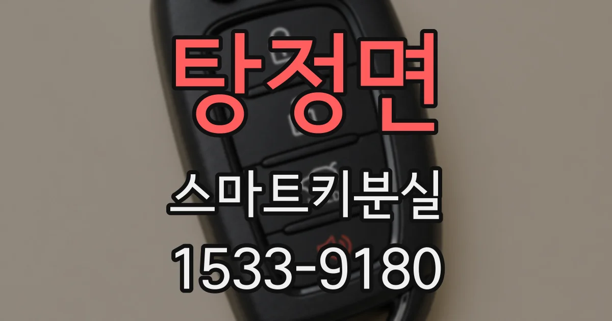 탕정면 스마트키분실