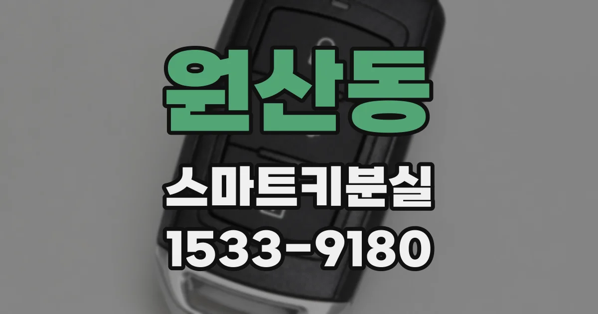 원산동 스마트키분실