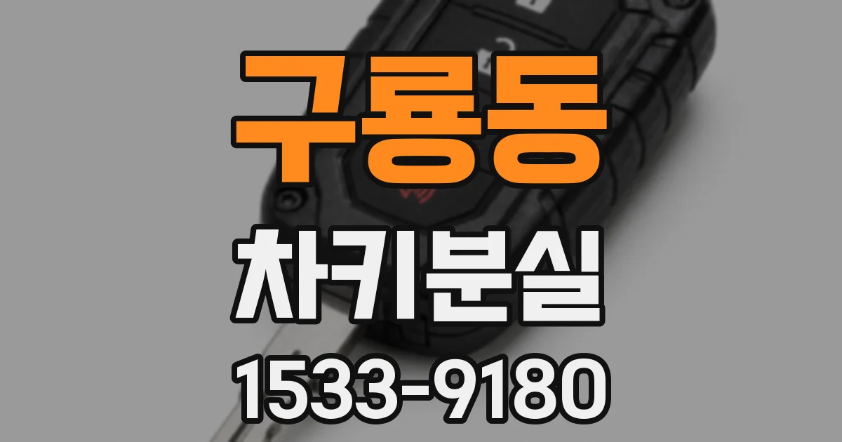 구룡동 차키분실