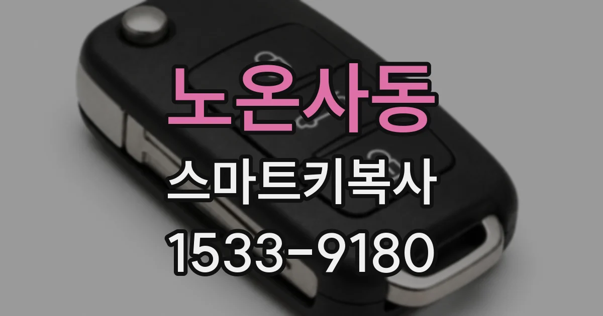 노온사동 스마트키복사