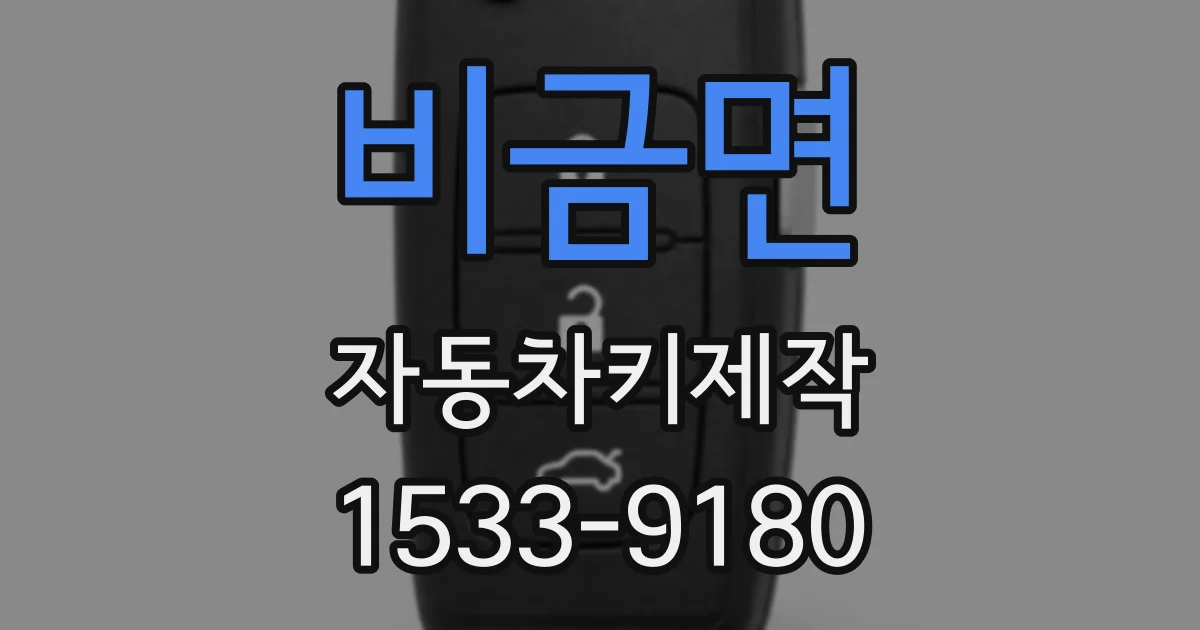 비금면 자동차키제작