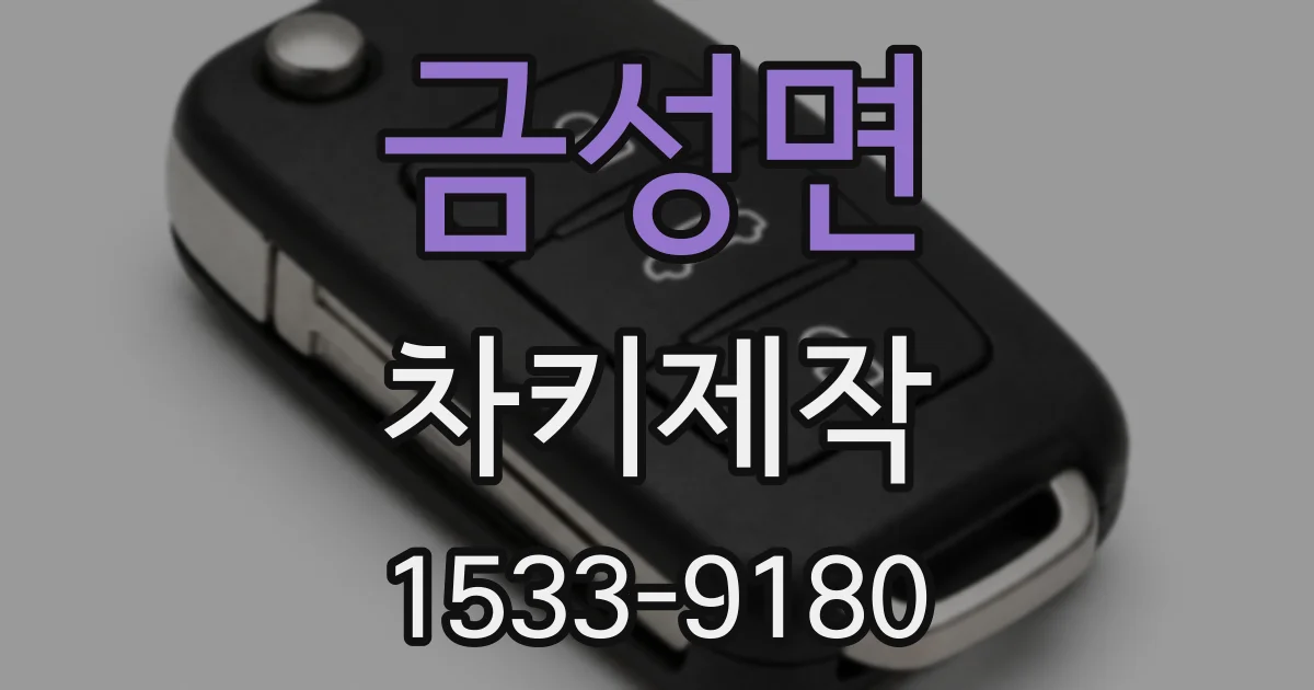 금성면 차키제작