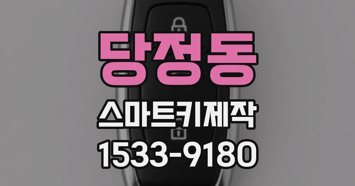 당정동 스마트키제작