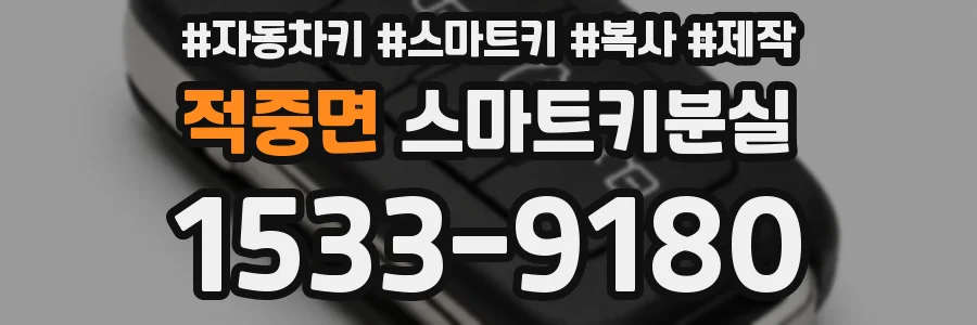 적중면 스마트키분실