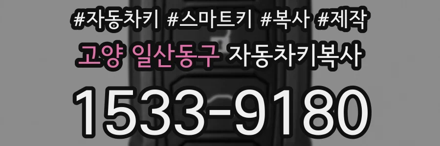 고양 일산동구 자동차키복사