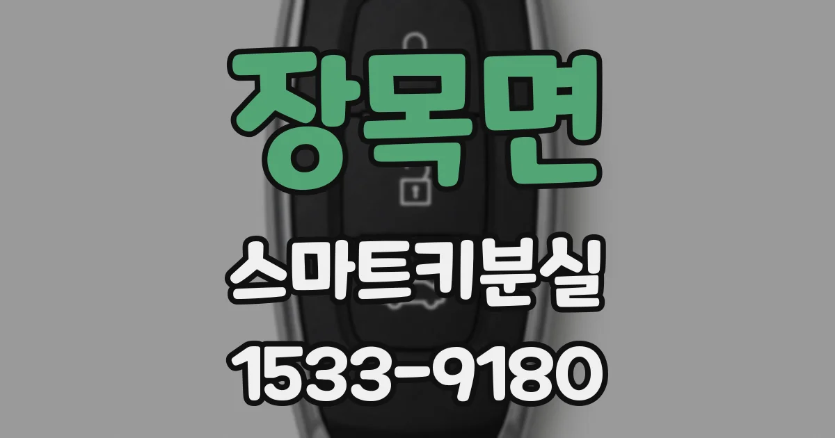 장목면 스마트키분실
