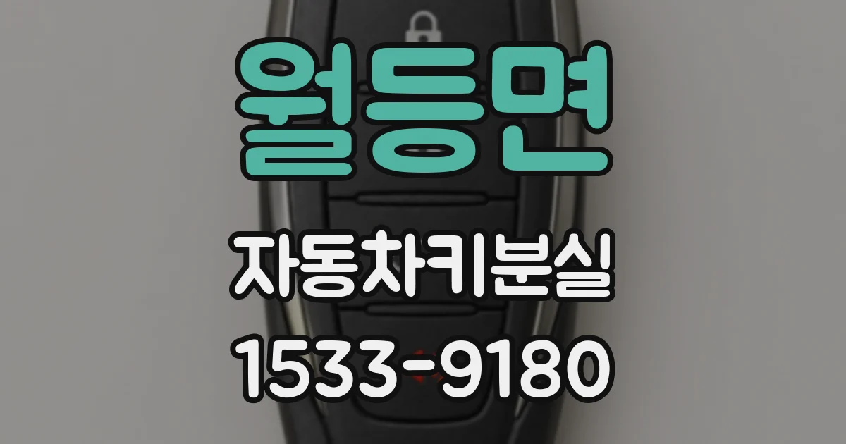 월등면 자동차키분실
