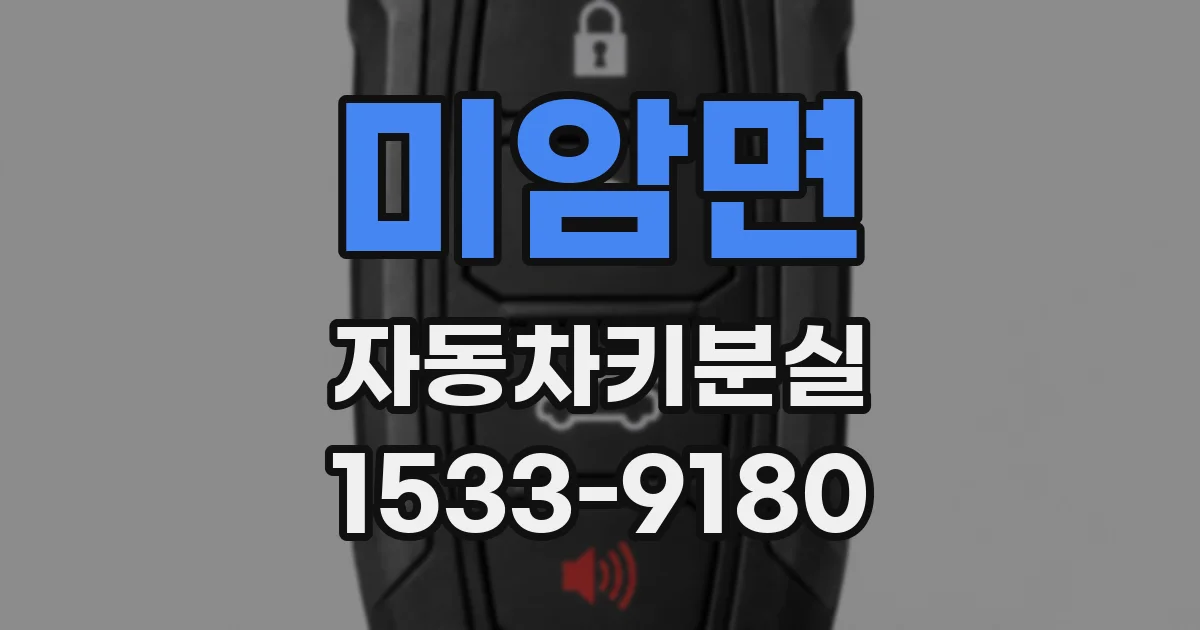 미암면 자동차키분실