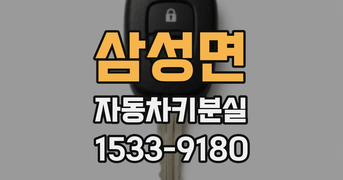 삼성면 자동차키분실