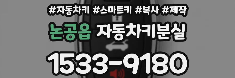 논공읍 자동차키분실