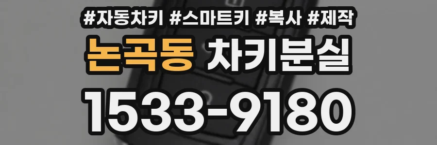 논곡동 차키분실