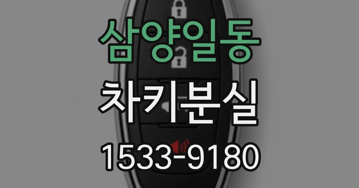 삼양일동 차키분실
