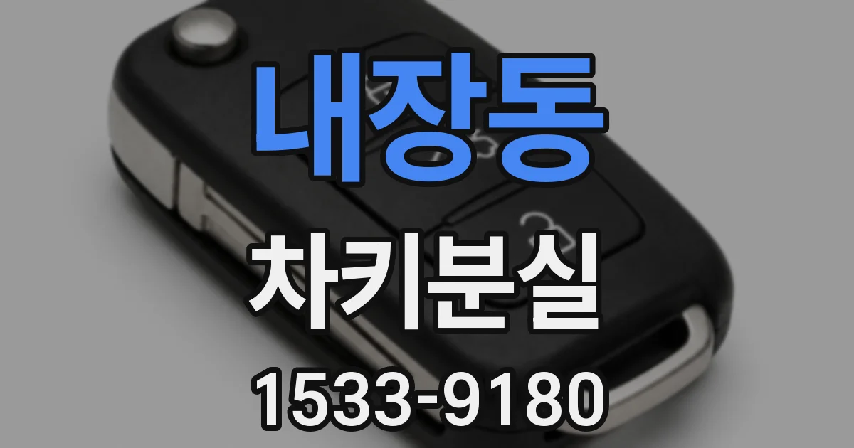 내장동 차키분실