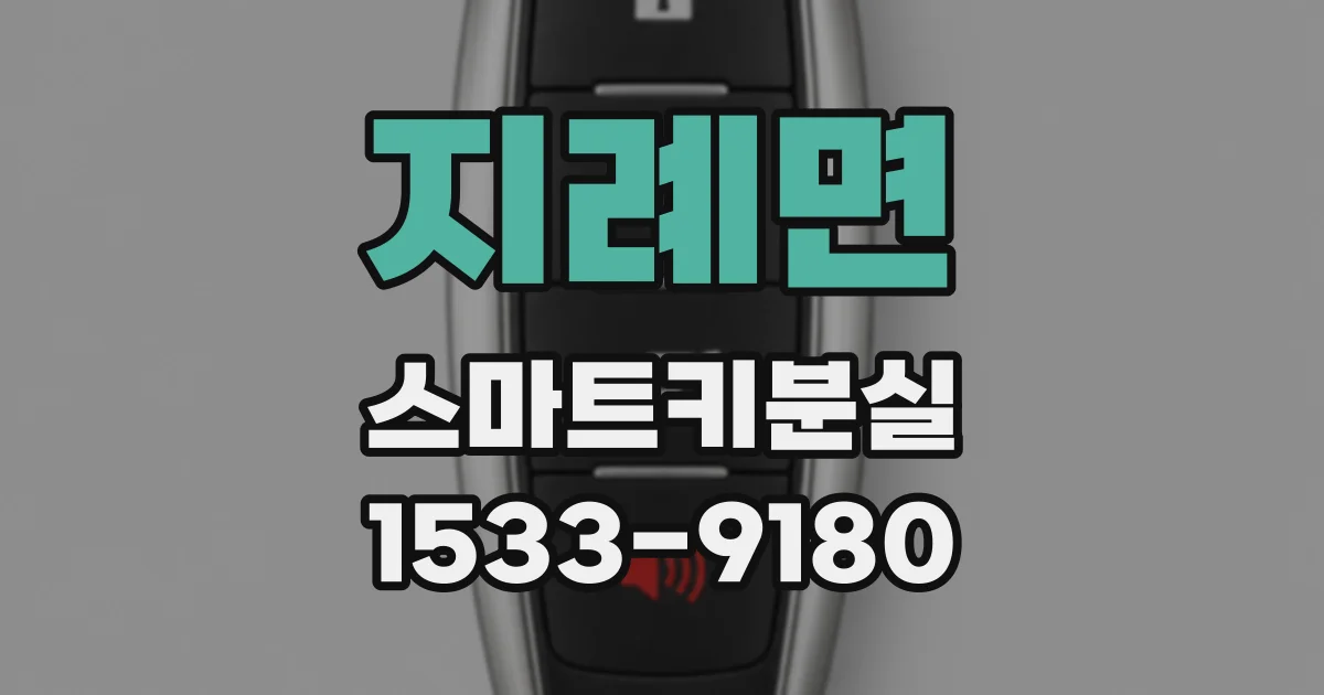 지례면 스마트키분실