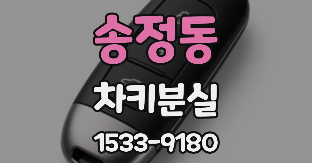 송정동 차키분실