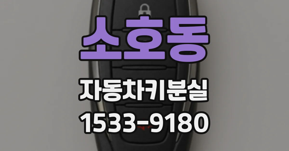 소호동 자동차키분실