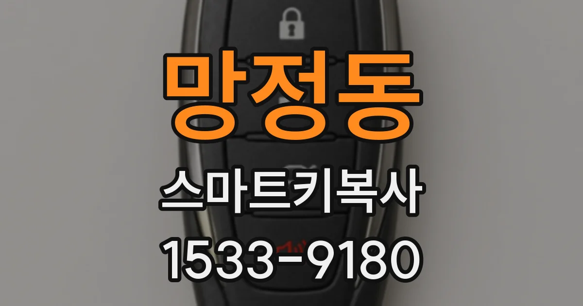 망정동 스마트키복사