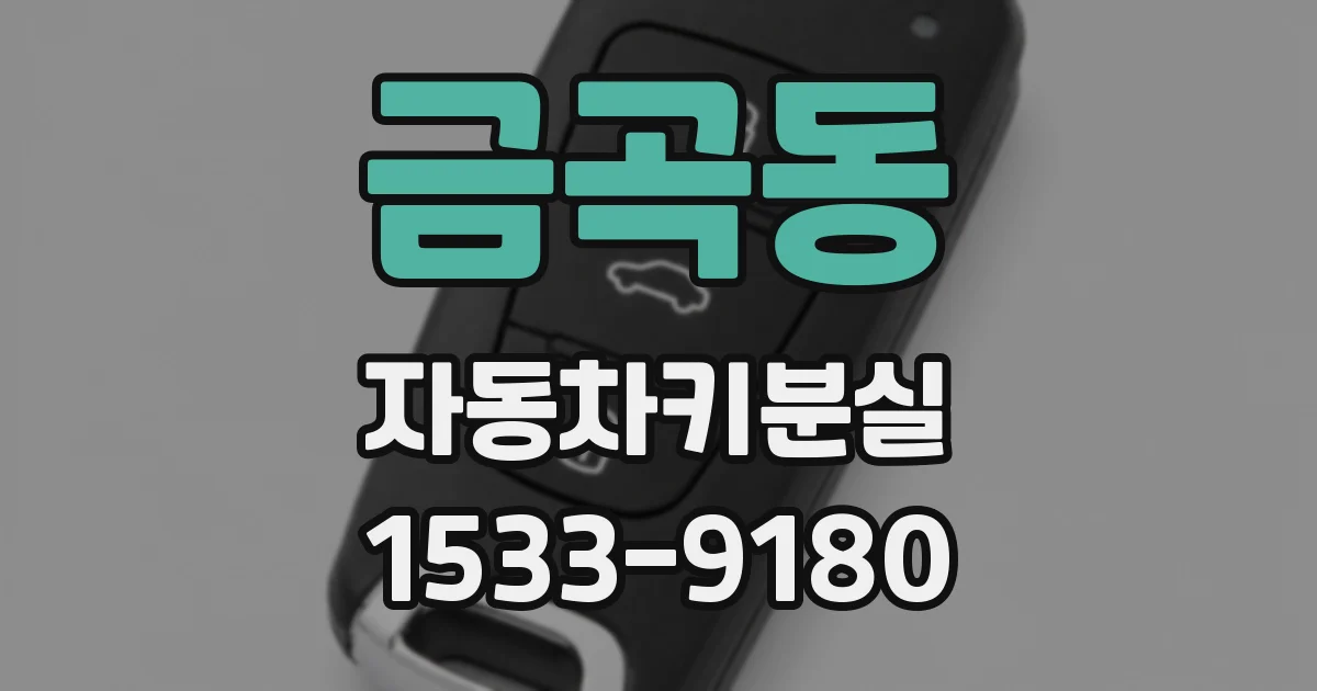 금곡동 자동차키분실