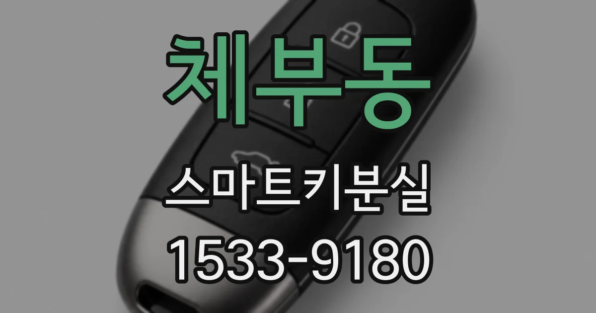 체부동 스마트키분실