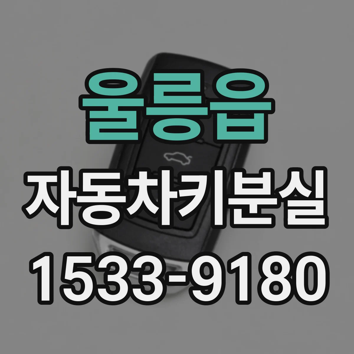 울릉읍 자동차키분실