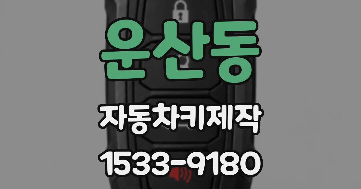 운산동 자동차키제작