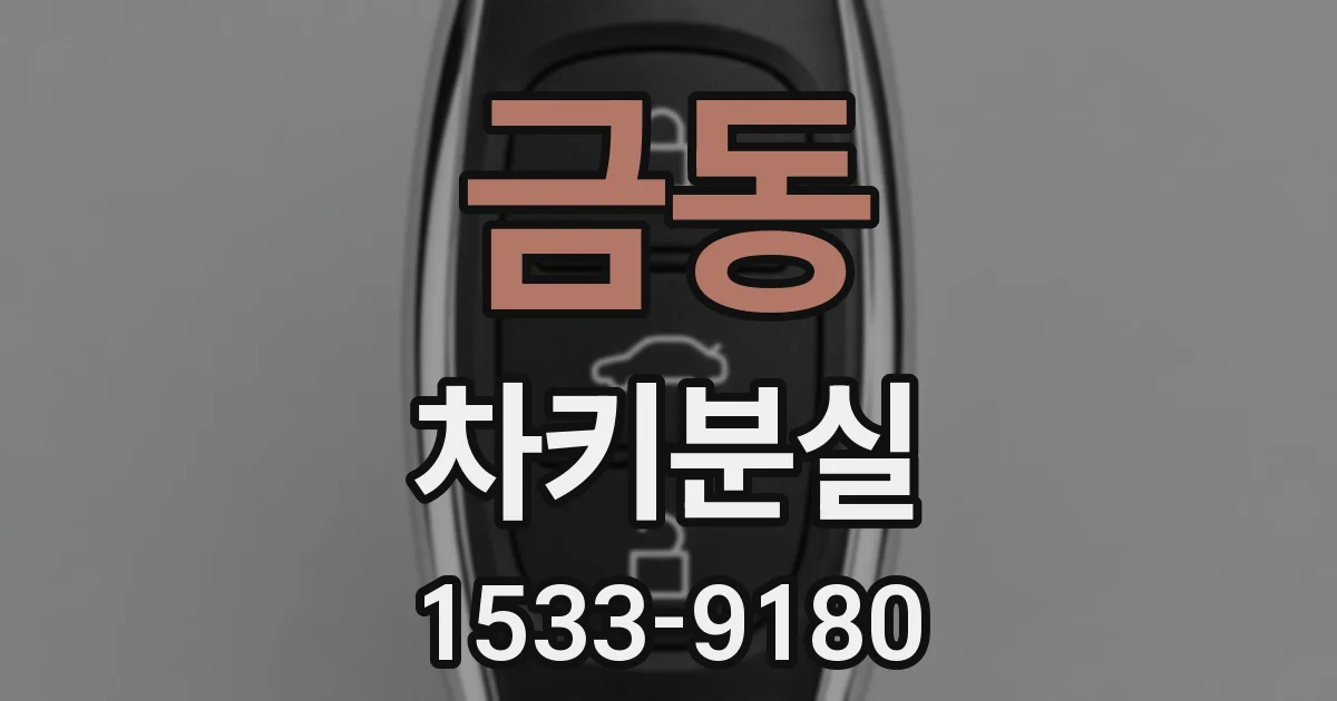 금동 차키분실