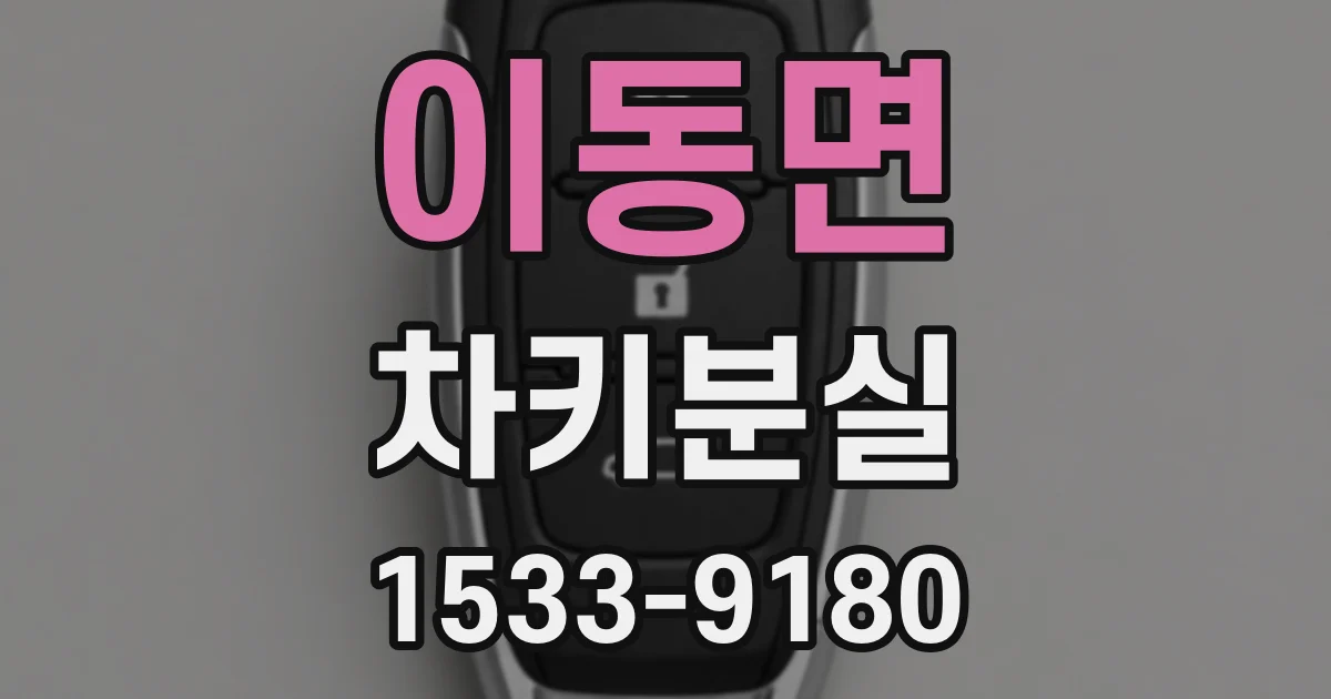 이동면 차키분실