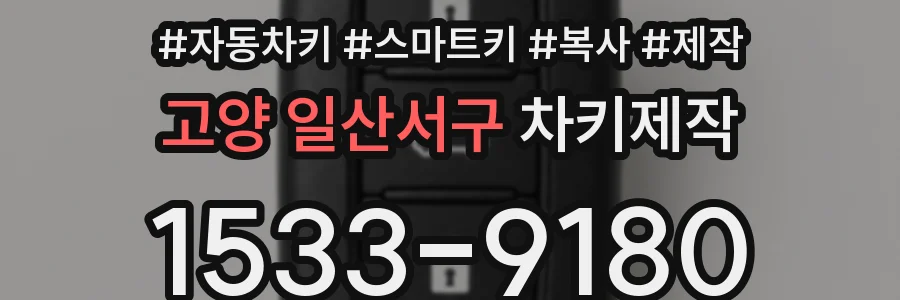고양 일산서구 차키제작