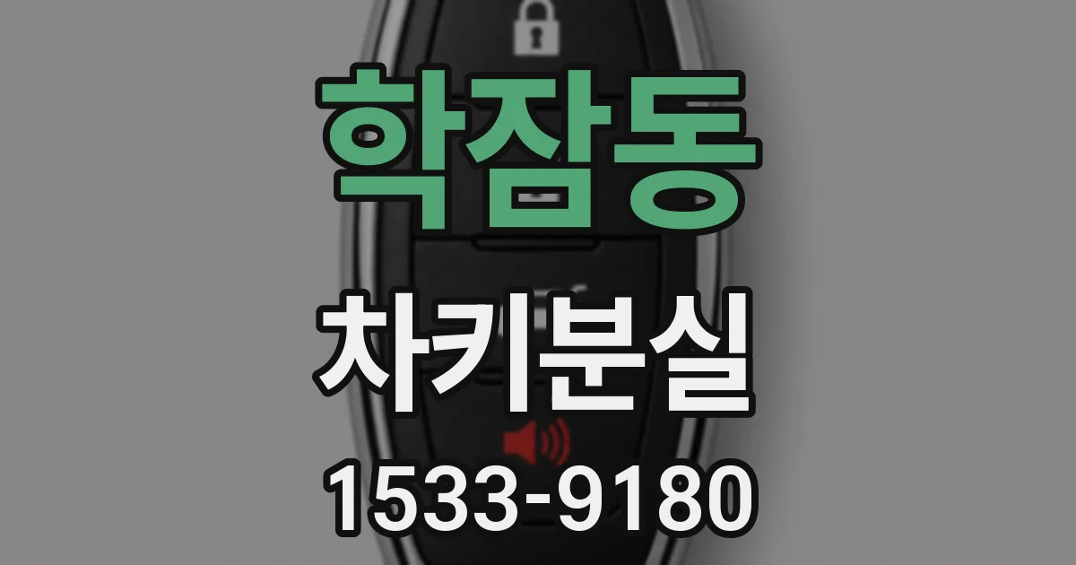 학잠동 차키분실