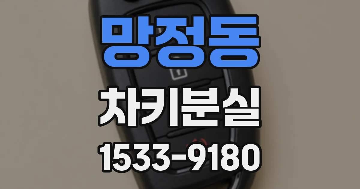 망정동 차키분실