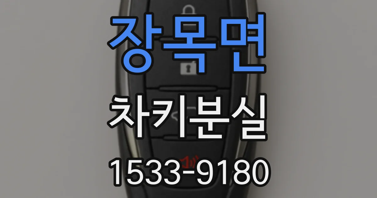 장목면 차키분실