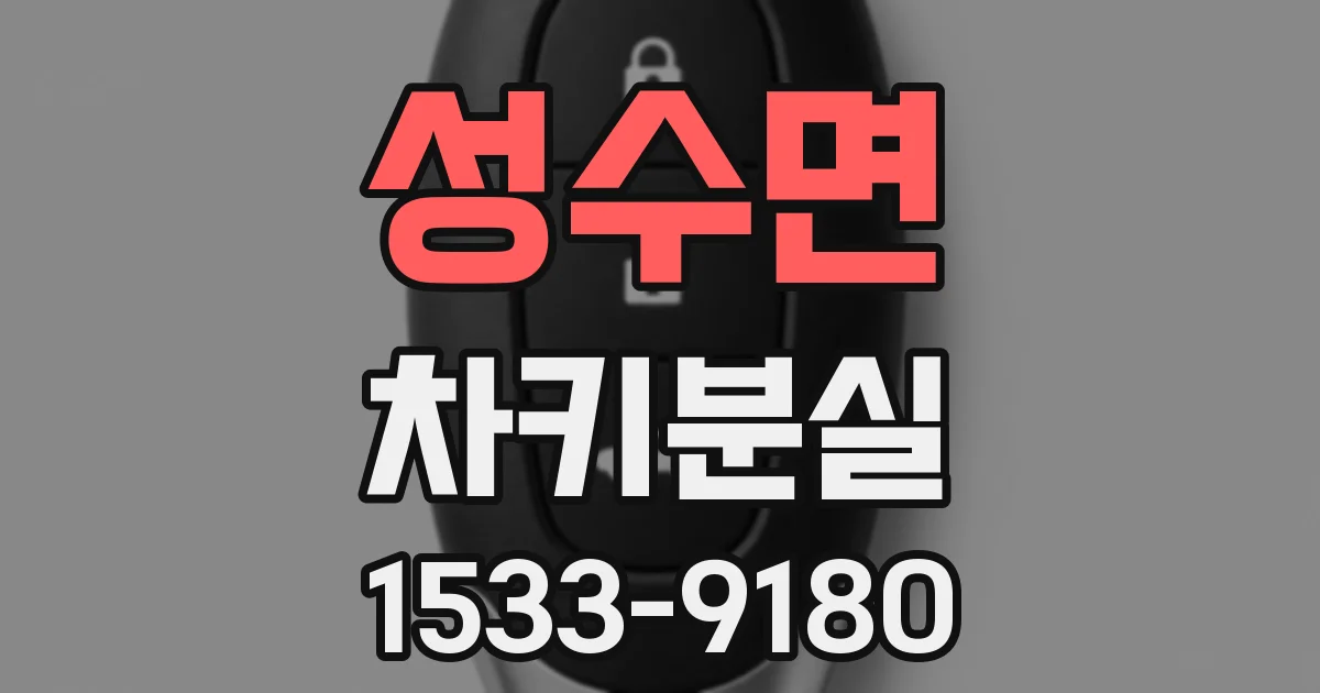 성수면 차키분실