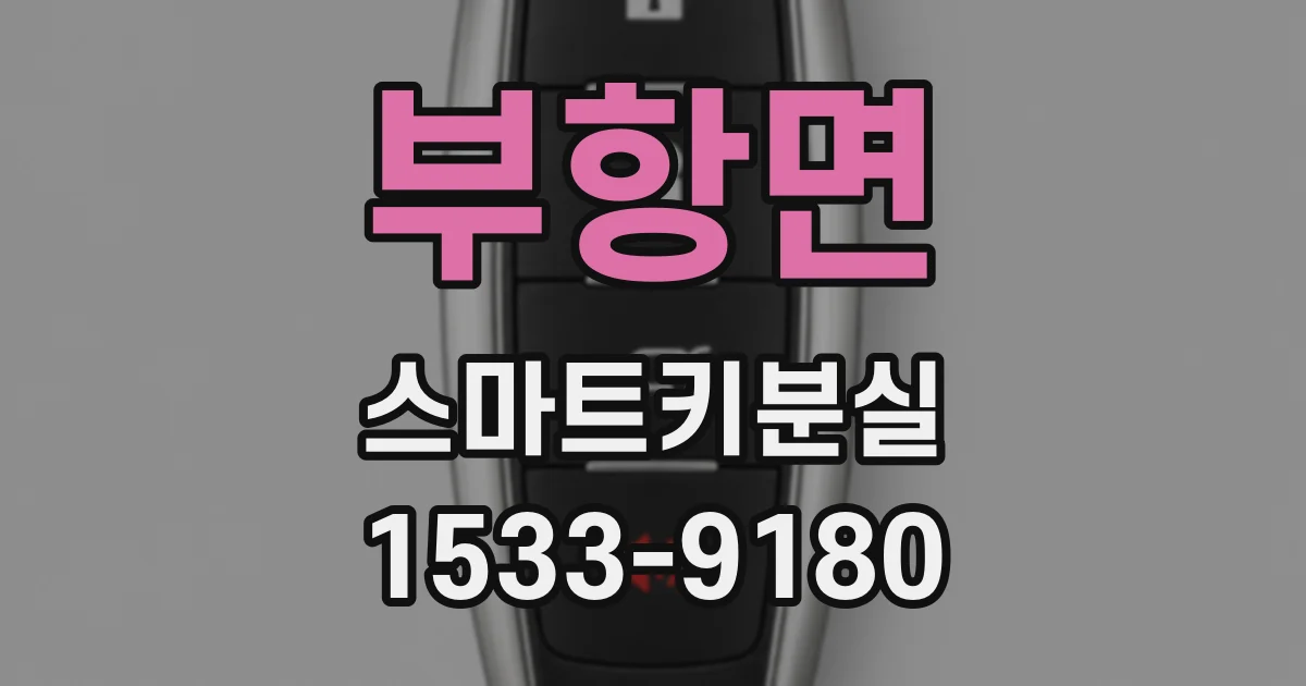 부항면 스마트키분실