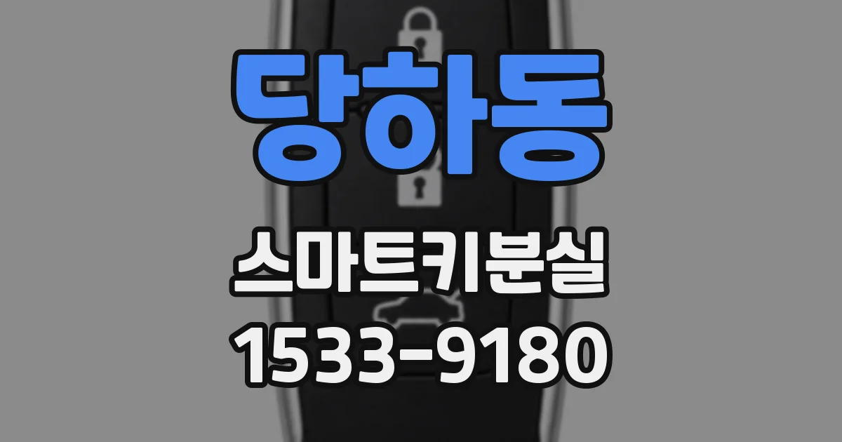 당하동 스마트키분실