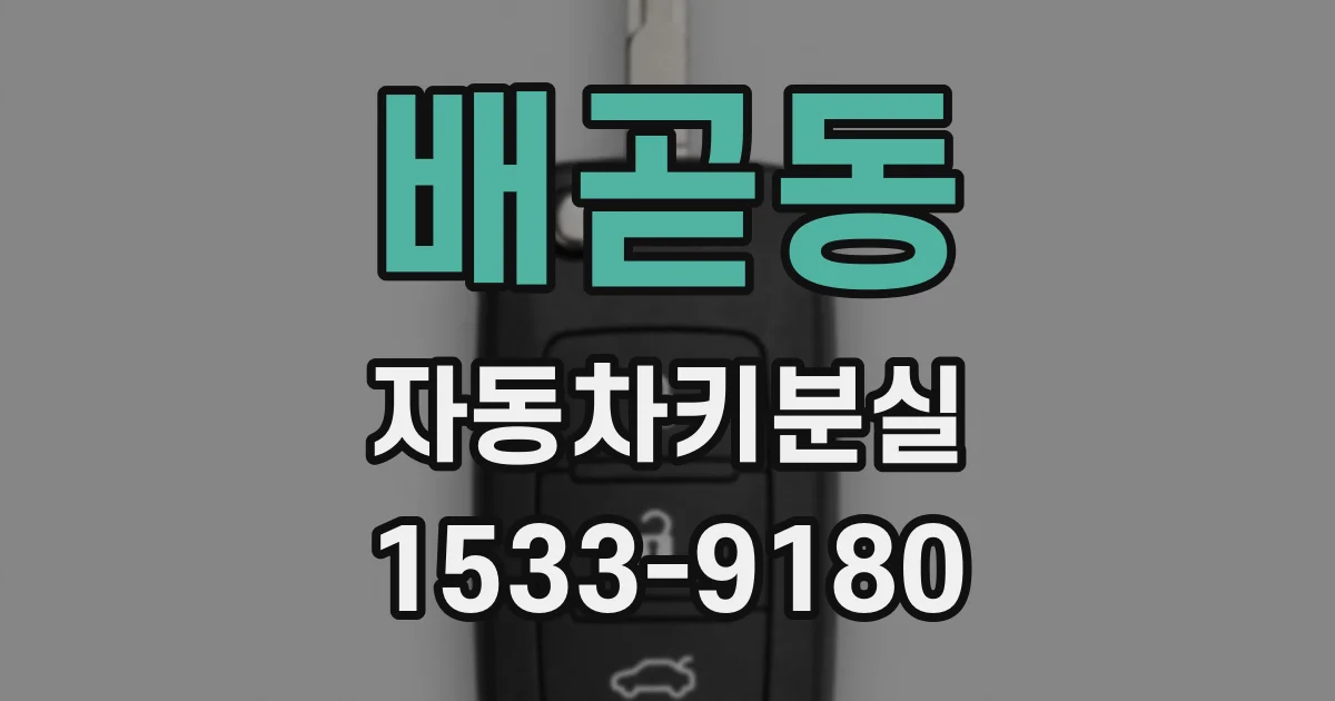 배곧동 자동차키분실