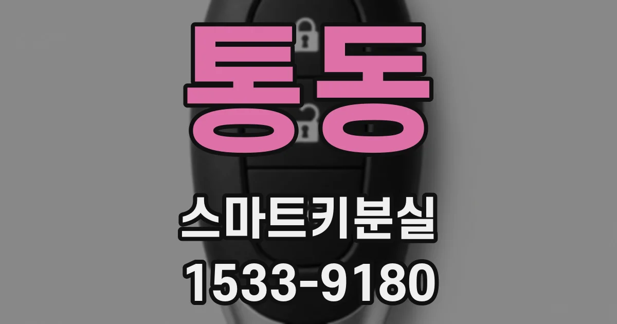 통동 스마트키분실