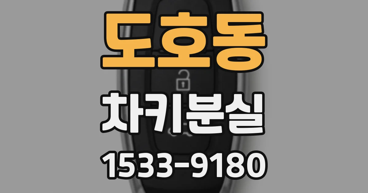 도호동 차키분실